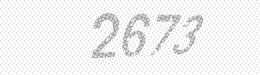 Visual security code — type the characters shown in the image