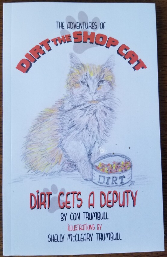 The Adventures Of Dirt Book